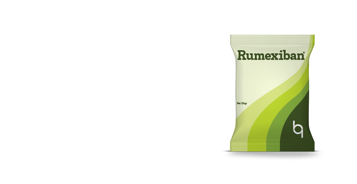 Rumexiban® / Professional Solution for Stomach and Bowel Problems